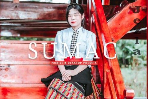 Sumac Pro Lightroom Presets - 7473597