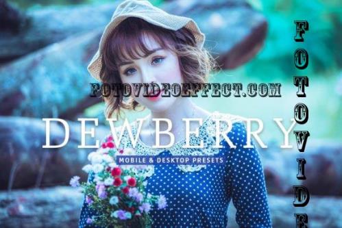 Dewberry Pro Lightroom Presets - 7469785