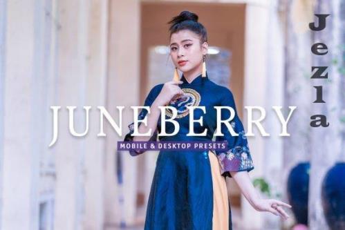 Juneberry Pro Lightroom Presets - 7473583
