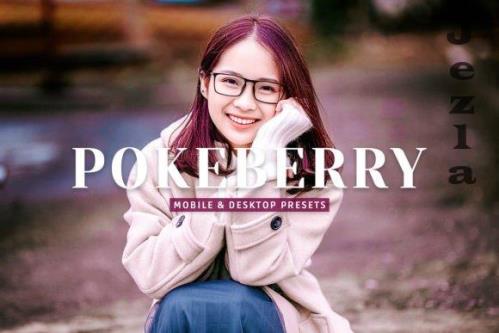 Pokeberry Pro Lightroom Presets - 7473594