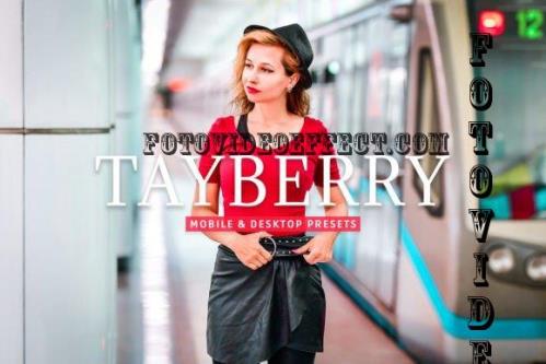 Tayberry Pro Lightroom Presets - 7473599