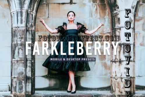 Farkleberry Pro Lightroom Presets - 7469788
