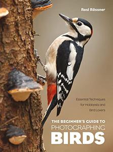 The Beginner’s Guide to Photographing Birds Essential Techniques for Hobbyists and Bird Lovers