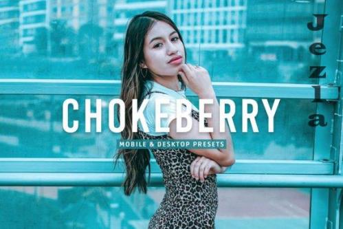Chokeberry Pro Lightroom Presets - 7469780
