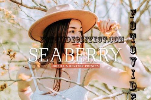 Seaberry Pro Lightroom Presets - 7473595