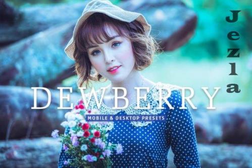 Dewberry Pro Lightroom Presets - 7469785