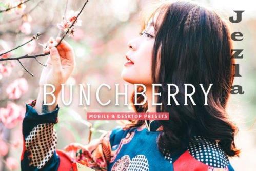 Bunchberry Pro Lightroom Presets - 7469777