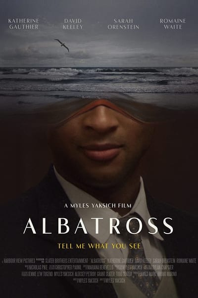 Albatross (2022) 720p WEBRip AAC2 0 X 264-EVO
