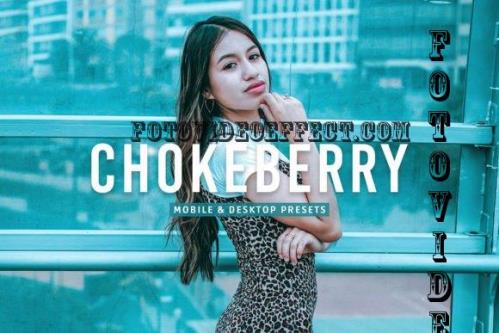 Chokeberry Pro Lightroom Presets - 7469780