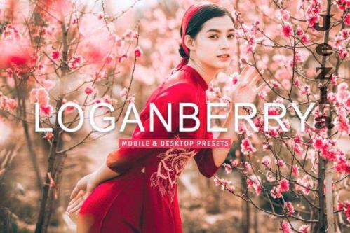 Loganberry Pro Lightroom Presets - 7473584