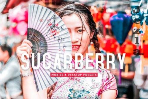 Sugarberry Pro Lightroom Presets - 7473596