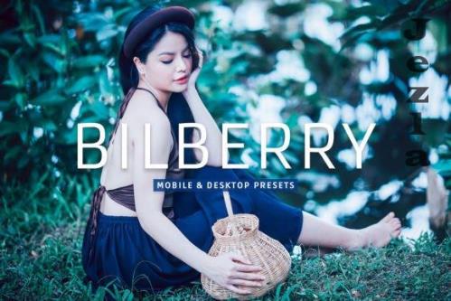Bilberry Pro Lightroom Presets - 7469776