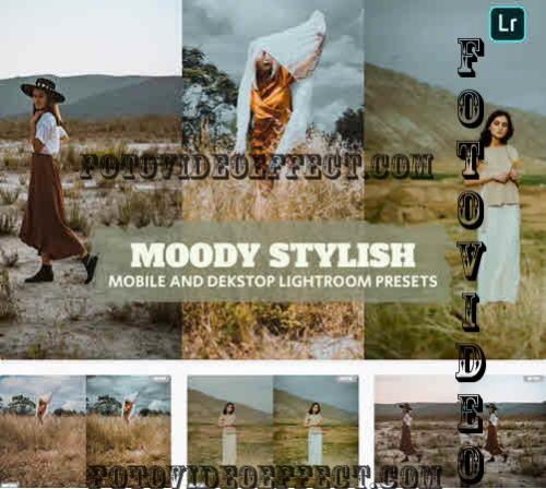 Moody Stylish Lightroom Presets Dekstop and Mobile