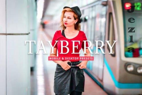 Tayberry Pro Lightroom Presets - 7473599