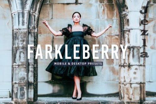 Farkleberry Pro Lightroom Presets - 7469788