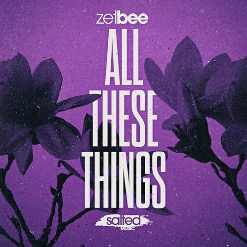 VA - Zetbee - All These Things (2022) (MP3)