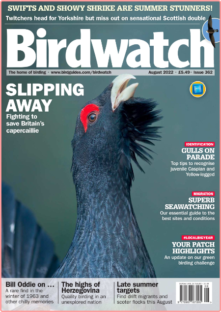 Birdwatch UK – Issue 362 – August 2022