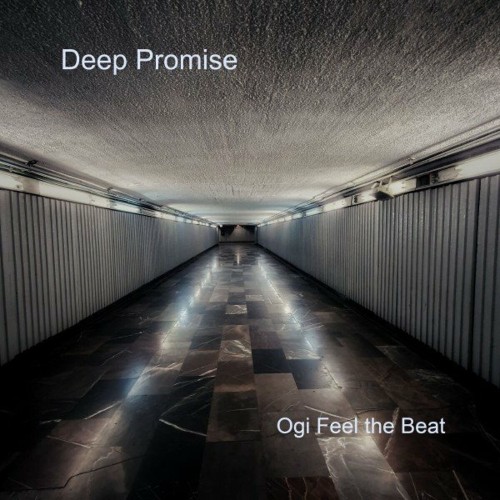 VA - Ogi Feel The Beat - Deep Promise (2022) (MP3)