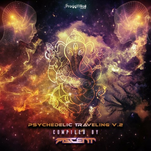 VA - Psychedelic Traveling V. 2 (2022) (MP3)