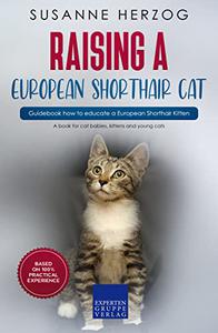Raising an European Shorthair Cat - Guidebook how to educate an European Shorthair Kitten