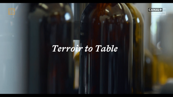 Skąd się bierze smak wina / Terroir to Table: Wine Lovers' Guide to Food and Wine (2021) PL.1080i.HDTV.H264-B89 | POLSKI LEKTOR
