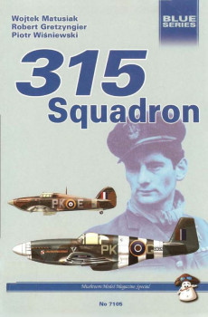 315 Squadron (Mushroom Blue Series 7105)