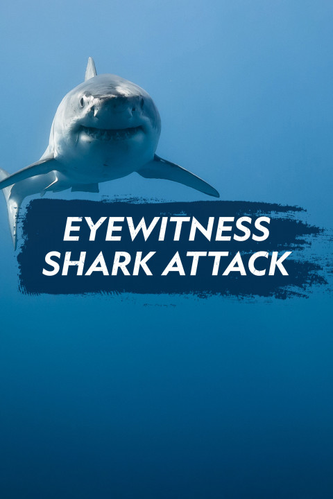 Oko w oko z ludojadem: Mordercze szczęki / Eyewitness Shark Attack: Facing Jaws (2019) PL.1080i.HDTV.H264-B89 | POLSKI LEKTOR