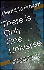 There is Only One Universe Within One Universe There is Only One Galaxy