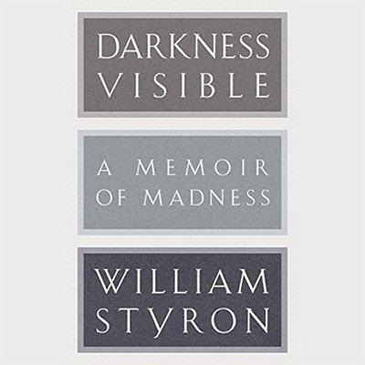Darkness Visible A Memoir of Madness (Audiobook)