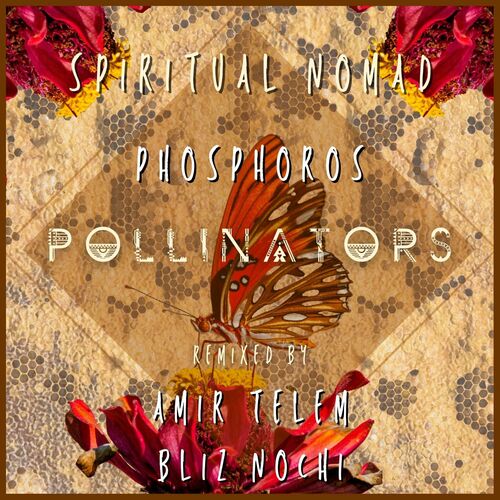 VA - PHOSPHOROS - Pollinators (2022) (MP3)