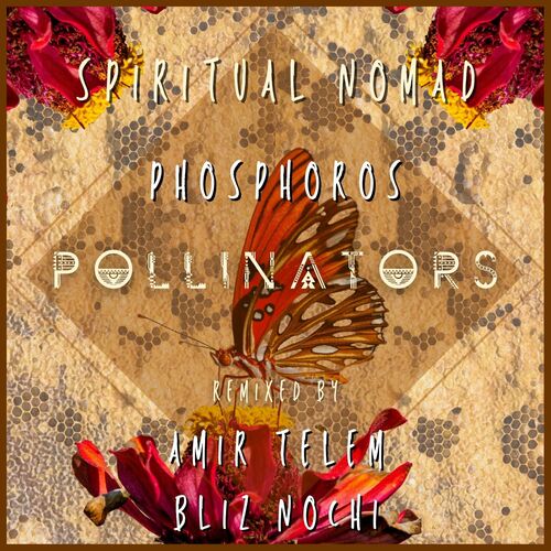 VA | PHOSPHOROS - Pollinators (2022) MP3