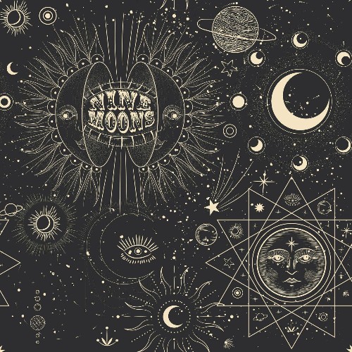 VA - Nine Moons - Nine Moons (2022) (MP3)