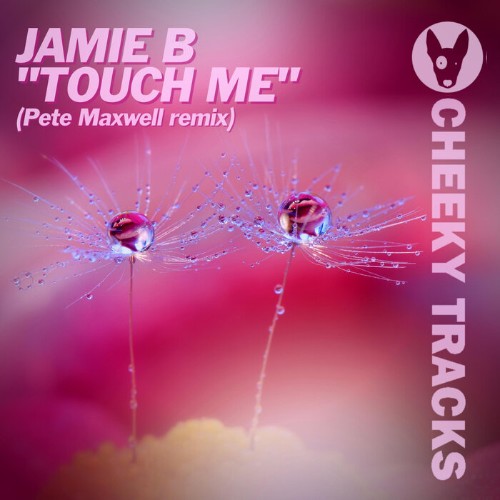 Jamie B - Touch Me (Pete Maxwell Remix) (2022)