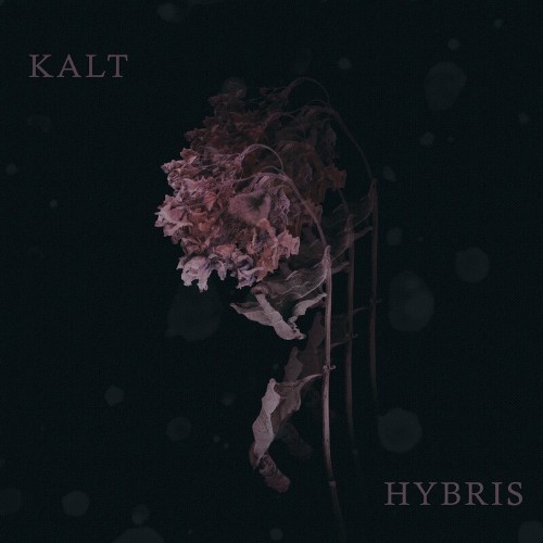 VA - Kalt - Hybris (2022) (MP3)