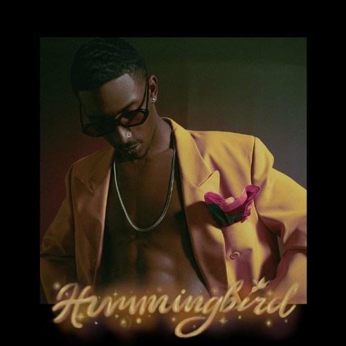 VA - Black Party - Hummingbird (2022) (MP3)