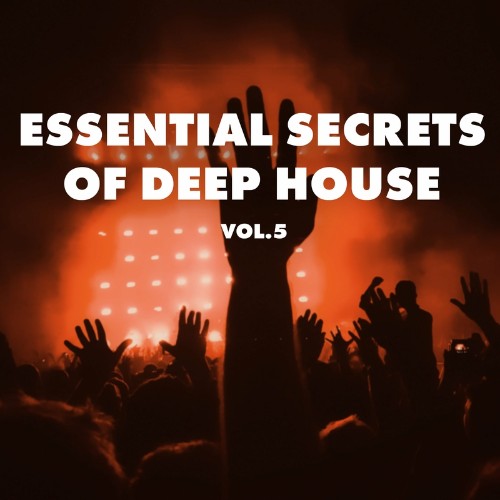 Essential Secrets of Deep House, Vol 5 (2022)