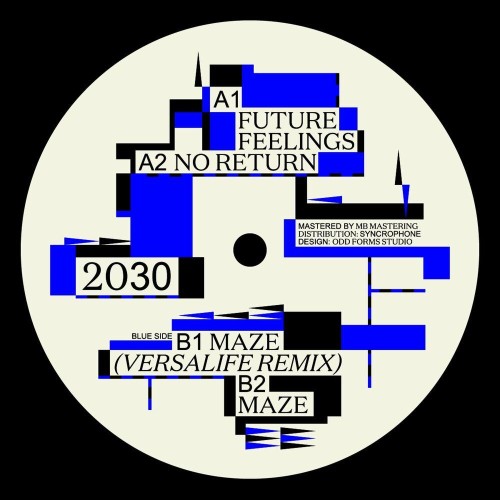 VA - 2030 - Future Feelings (2022) (MP3)