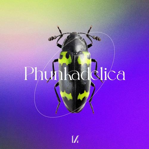 VA - Phunkadelica - By The Power Of Grayskull (2022) (MP3)