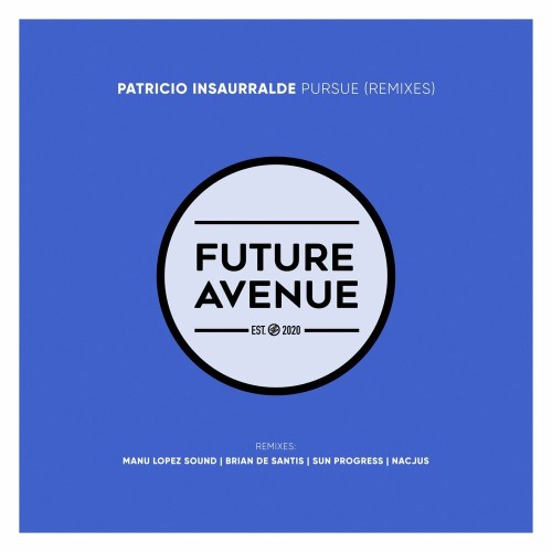 VA - Patricio Insaurralde - Pursue (Remixes) (2022) (MP3)