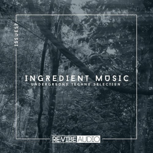 VA - Ingredient Music, Vol. 57 (2022) (MP3)