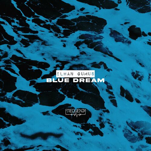 VA - Ilhan Gumus - Blue Dream (2022) (MP3)