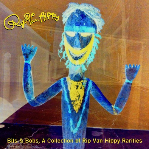 VA - Rip Van Hippy - Bits and Bobs, a Collection of Rip Van Hippy Rarities (2022) (MP3)