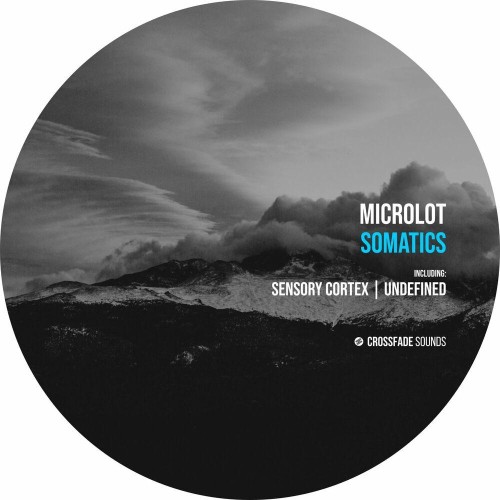 VA - Microlot - Somatics (2022) (MP3)