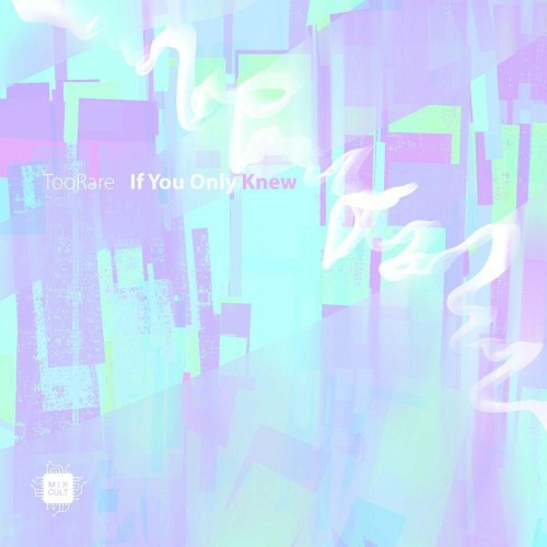 VA - TooRare - If You Only Knew (Radio Versions) (2022) (MP3)