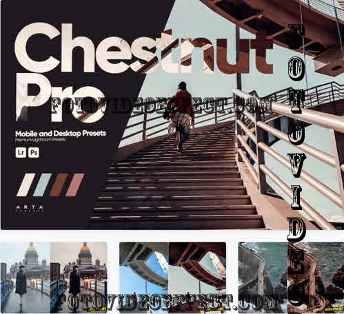 ARTA - Chestnut Pro Presets for Lightroom