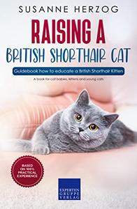 Raising a British Shorthair Cat - Guidebook how to educate a British Shorthair Kitten