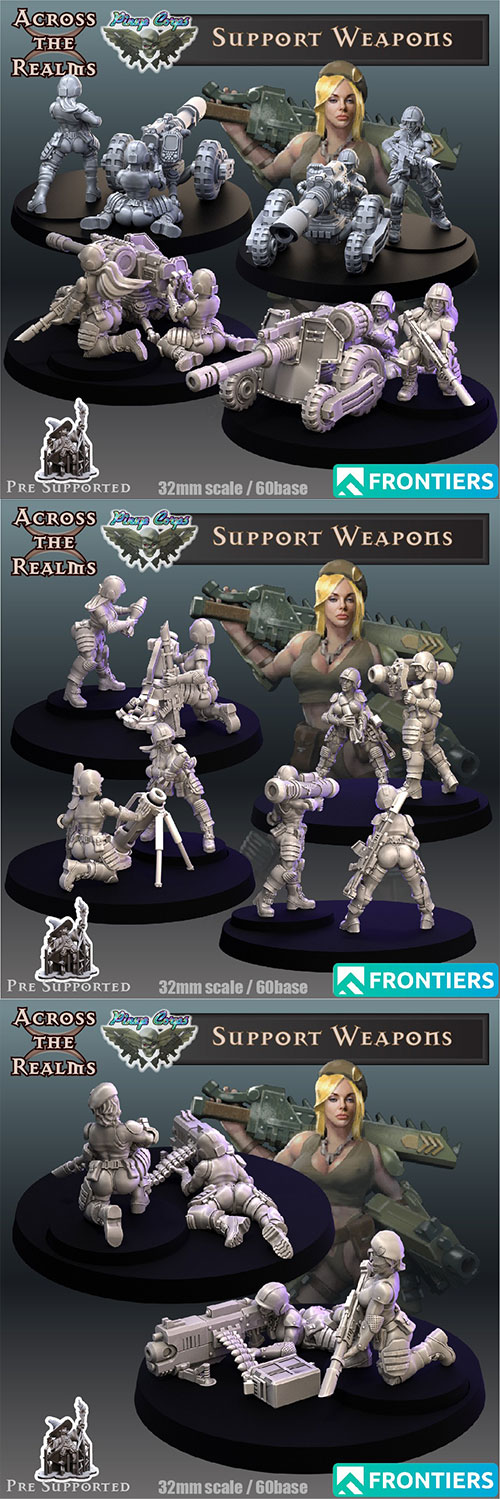 Pinup Support Weapons 3D Print