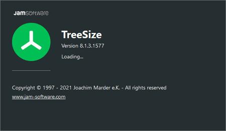 TreeSize Professional 8.4.0.1710 (x64) Multilingual + Portable