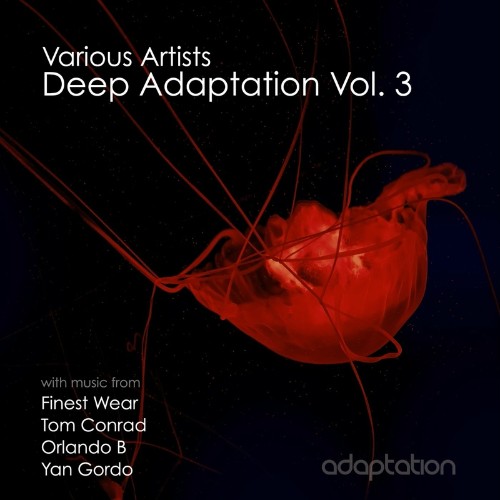 VA - Deep Adaptation, Vol. 3 (2022) (MP3)