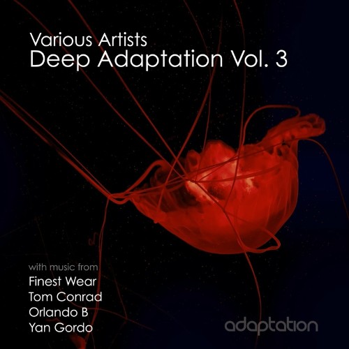 VA | Deep Adaptation, Vol. 3 (2022) MP3